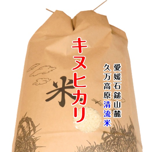 キヌヒカリ（久万高原 清流米）　送料無料（北海道・沖縄・東北は別途送料）